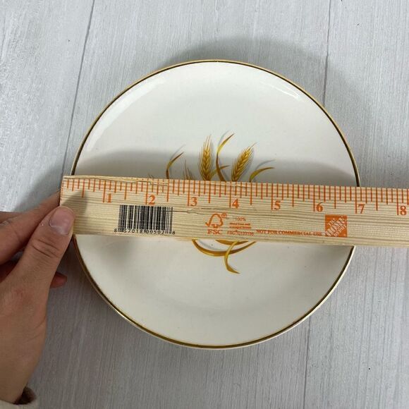 Homer Laughlin GOLDEN  WHEAT 2 Plates 7" 
1 5” Bowl and 1 5” plate 22K Gold  USA - Picture 2 of 8
